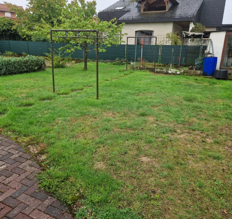 Garten mit grünem Rasen, zwei Metallrahmen und einem Baum neben einem Haus mit schrägem Schieferdach.
