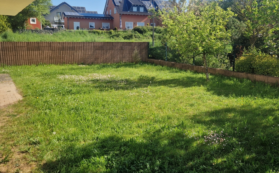 Sonniger Garten mit grünem Rasen, Bäumen rechts und Zaun im Hintergrund vor Wohnhäusern mit Solarpaneelen.