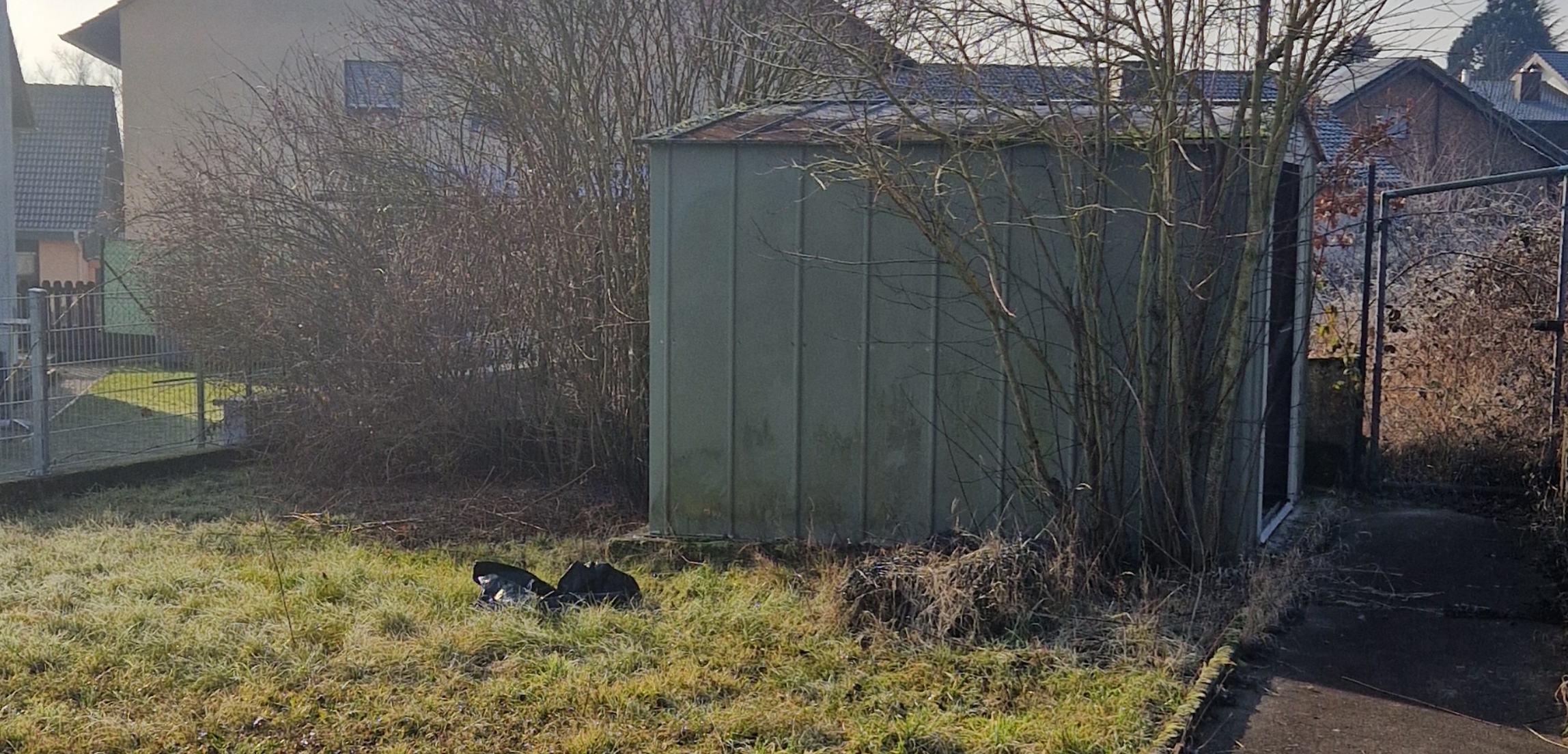 Metallgeräteschuppen im Garten mit umstehenden Büschen und Gras sowie einer geöffneten Tür auf einem Gehweg.