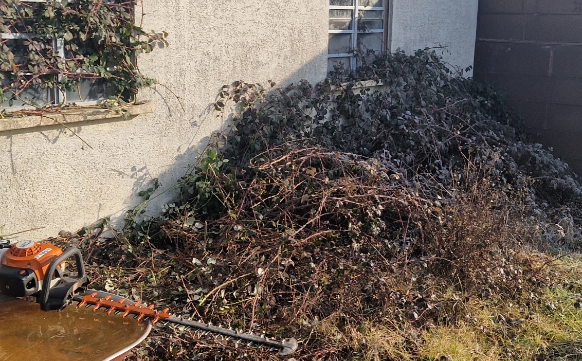 Ein Rasentrimmer liegt neben einem großen Berg von getrocknetem Gestrüpp und Zweigen vor einem Gebäude.
