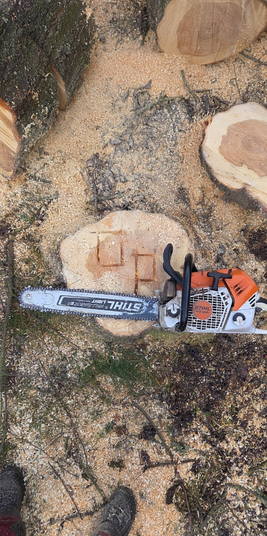 Motorsäge auf einem frisch geschnittenen Baumstumpf mit Holzspänen und Baumstämmen im Hintergrund.