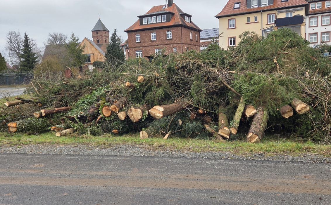 Großer Stapel von frisch geschnittenen Baumstämmen und Zweigen vor traditionellen Häusern in einer Siedlung.