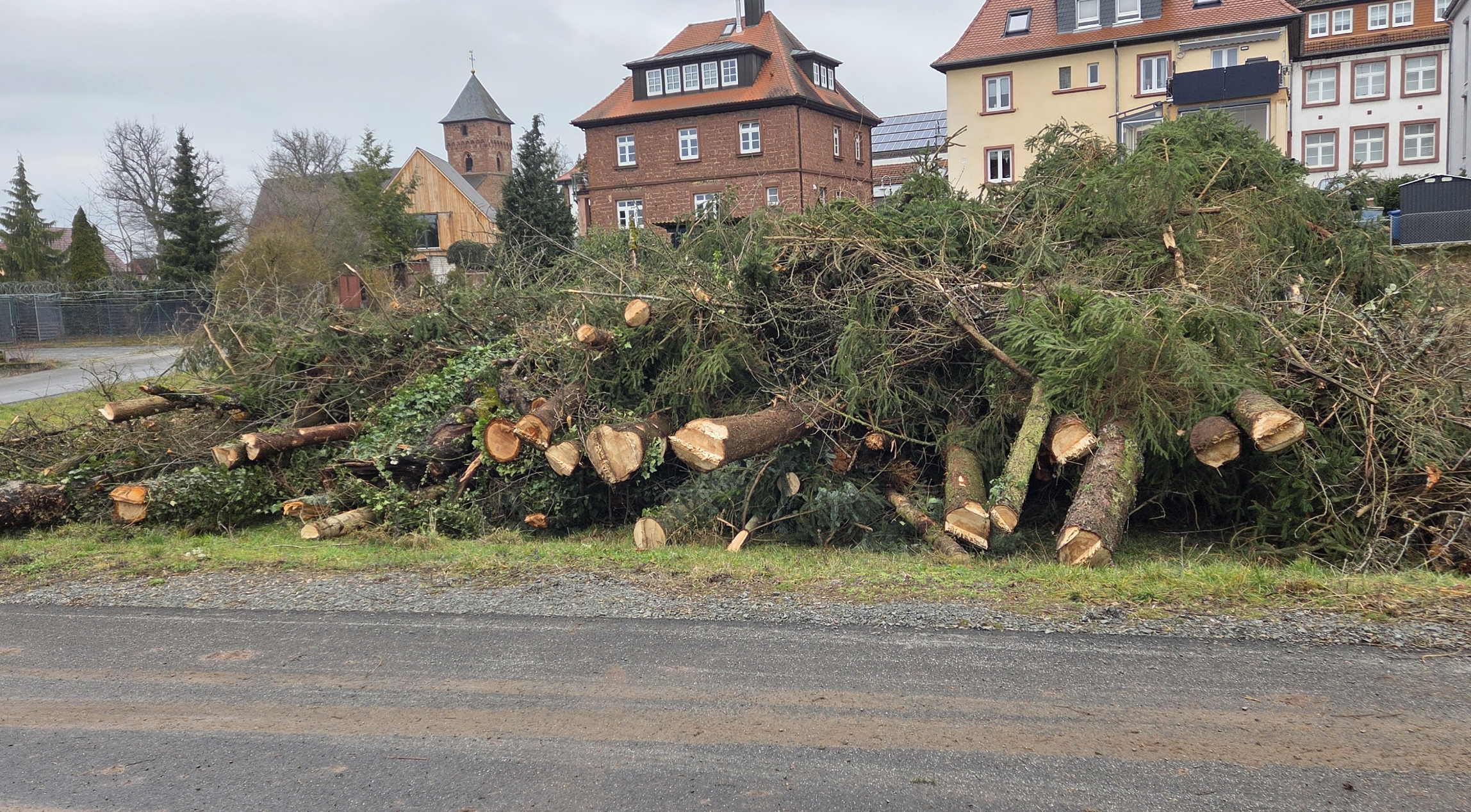 Großer Haufen frisch gefällter Baumstämme und Äste am Straßenrand vor Wohnhäusern.